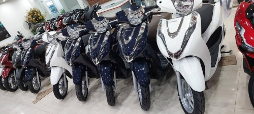 Honda Lead 125cc for rent